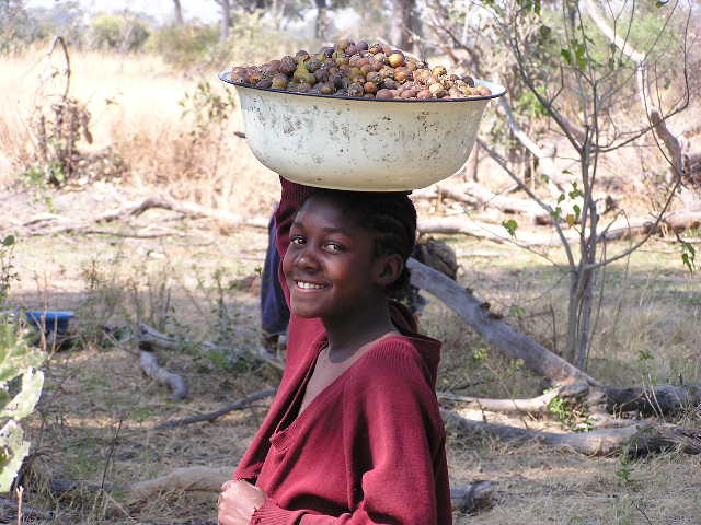 gathering food in the okavango Cudze poznajmy nieodkryta Botswana