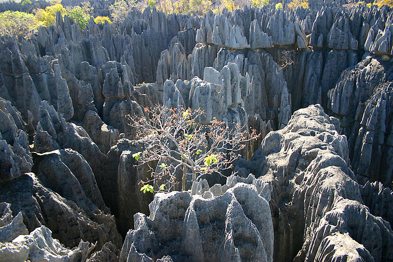 800px tsingy 2008 Cudze poznajmy kolorowy Madagaskar
